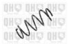 FIAT 50700624 Coil Spring